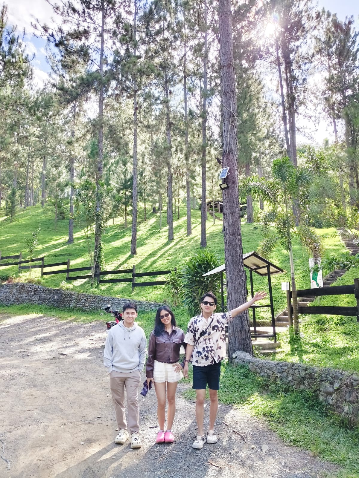 Dahilayan pine forest
