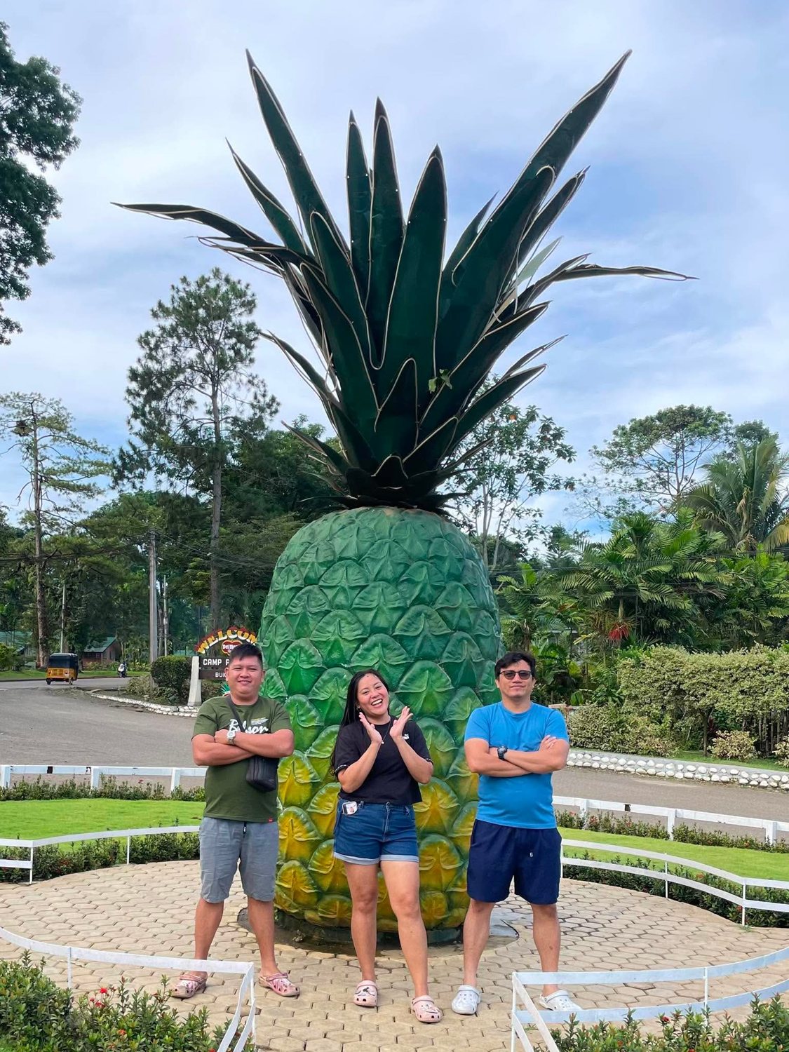 A pineapple landmark stop
